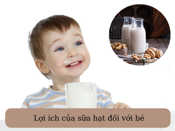 Sữa hạt giúp tăng cường hệ miễn dịch, giữ đôi mắt sáng khỏe và phát triển trí não cho bé