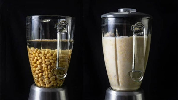 Nấu sữa hạt bằng máy xay sinh tố