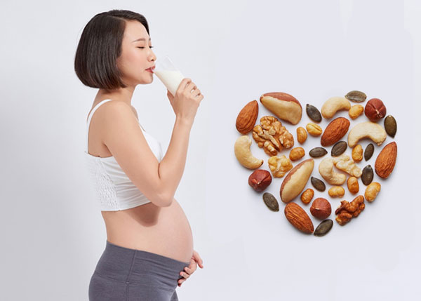 Phụ nữ mang thai có thể uống sữa hạt macca